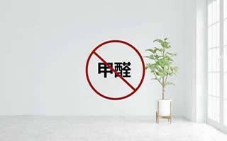 攀枝花东区东区城区玻璃清洗 保姆 甲醛治理 单位托管保洁